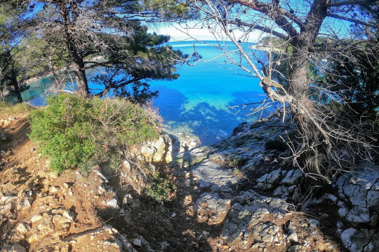 Amaryllis Residence, Diana & Deluxe With Shared Kitchen Apartman Veli Losinj